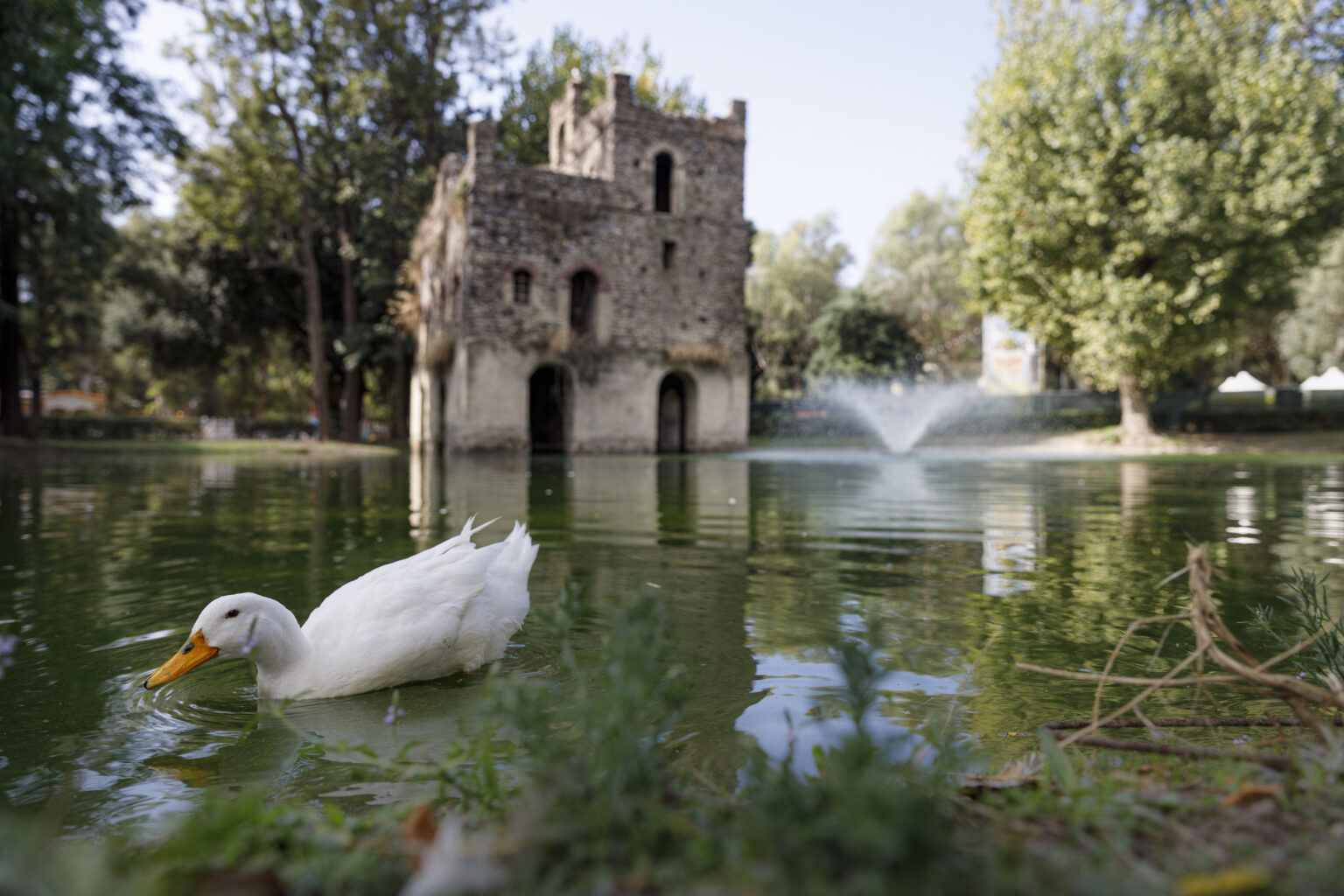 Dettaglio del parco della mostra d'oltremare